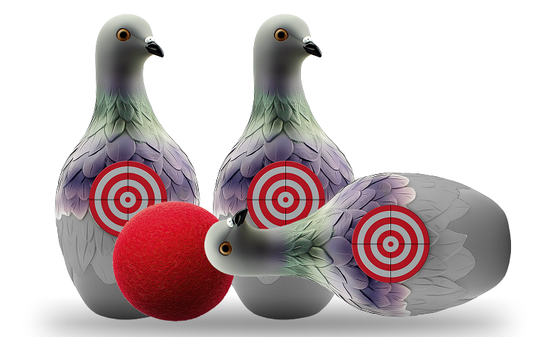 Pigeons Banner